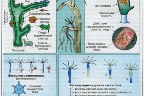 Нарко маркетплейс