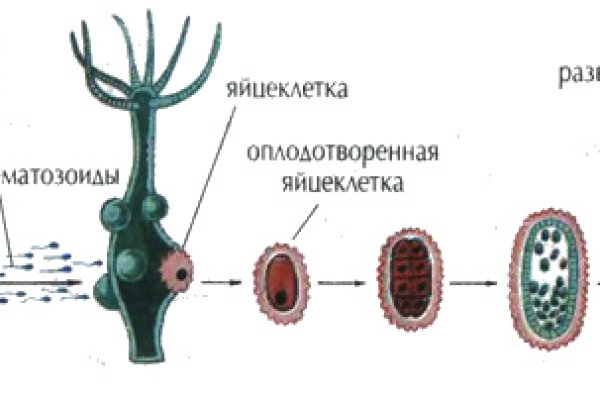 Кракен последние ссылки