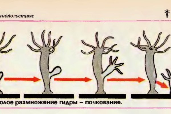 Кракен вход рабочий