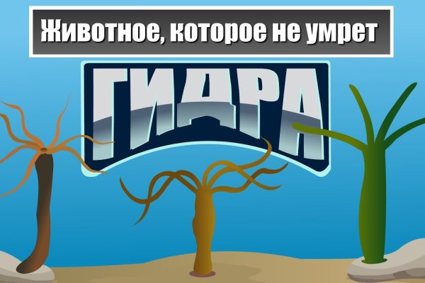 Скрытый интернет как войти