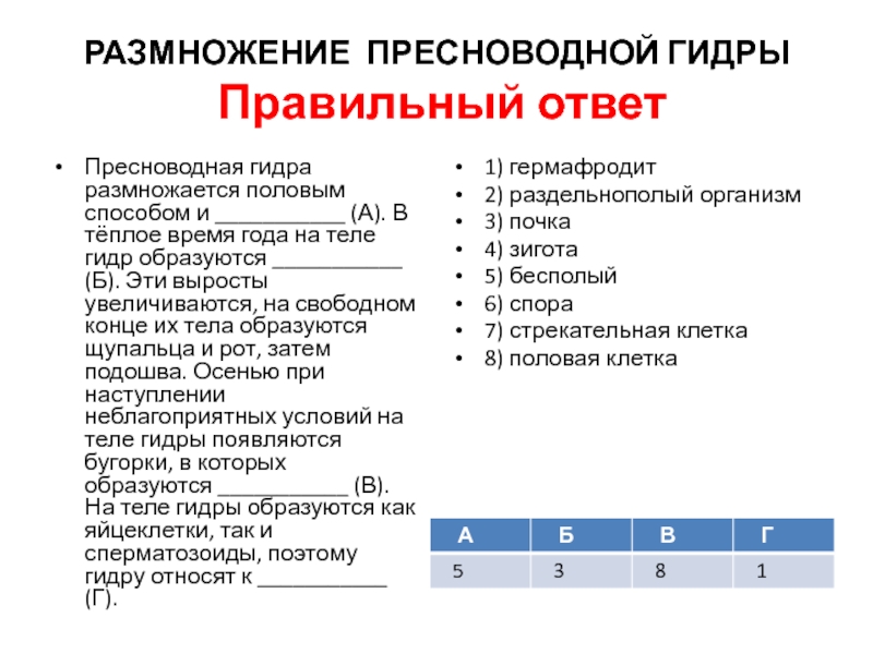 Кракен зеркало орион